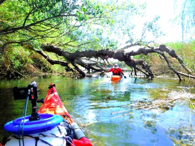  Entdecken Sie den Fluss 