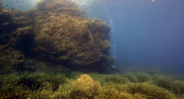 Bajo el agua