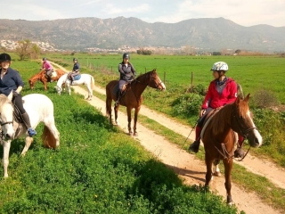 艾瓜莫尔斯自然公园 (Parc Natural dels Aiguamolls) 骑马路线，1 小时
