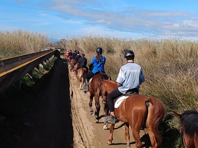  在艾瓜莫尔斯骑马 