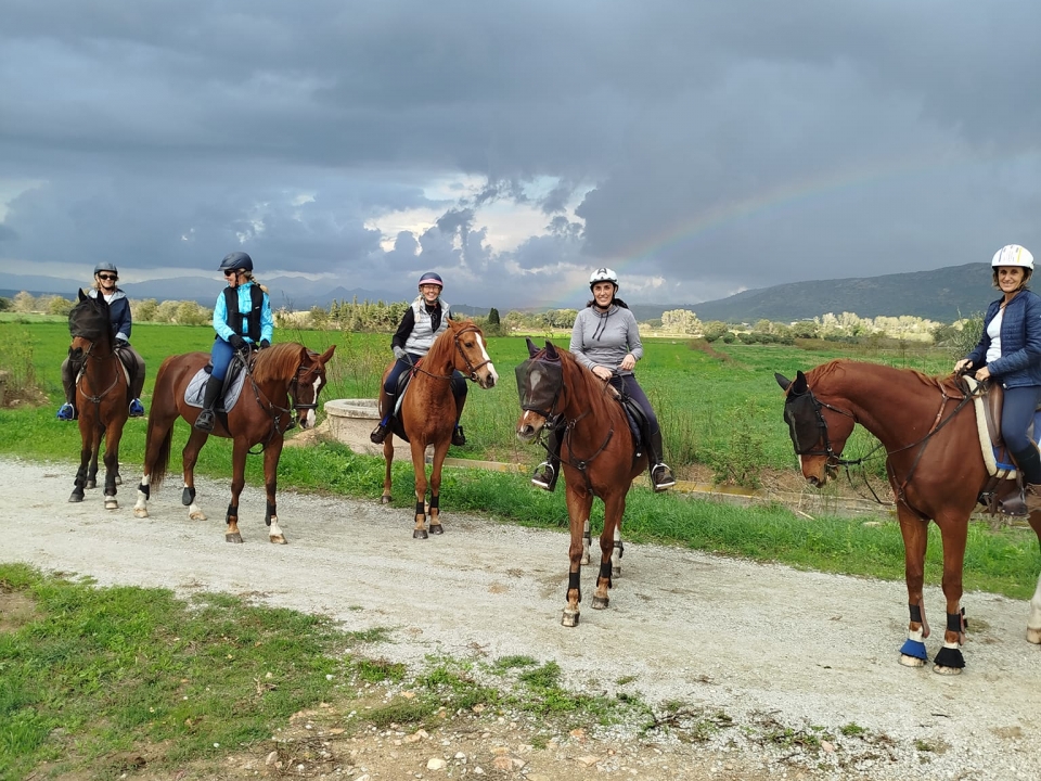  穿过乡村的骑马路线 