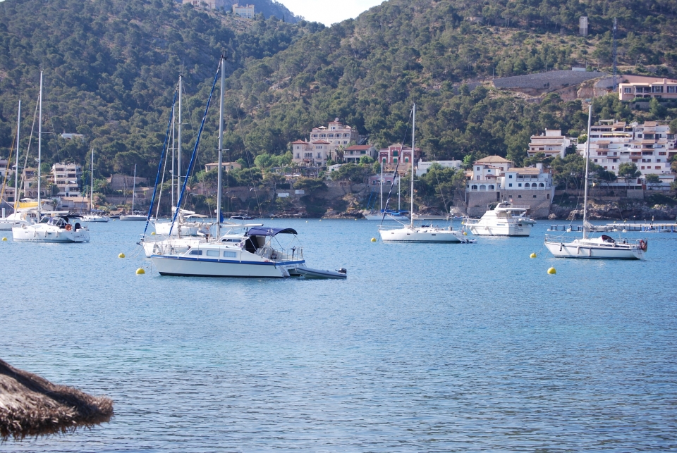 Discover Mallorca by boat