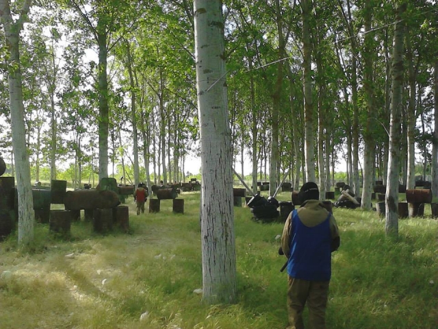 Natural paintball field 