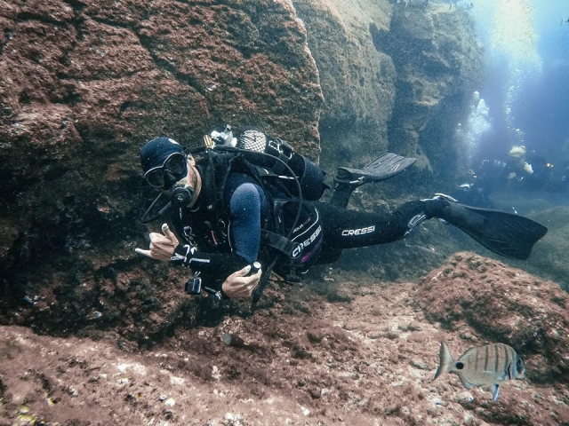  Padi 