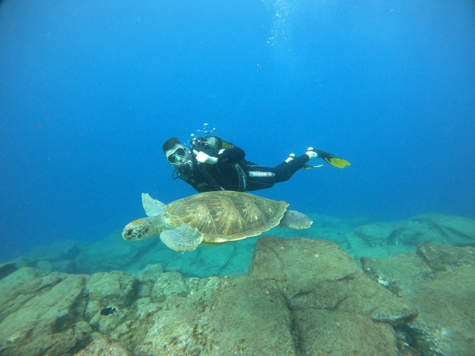 Découvrez la plongée sous la plongée dans le Tenerife Découvrez la plongée sous la plongée dans le Tenerife