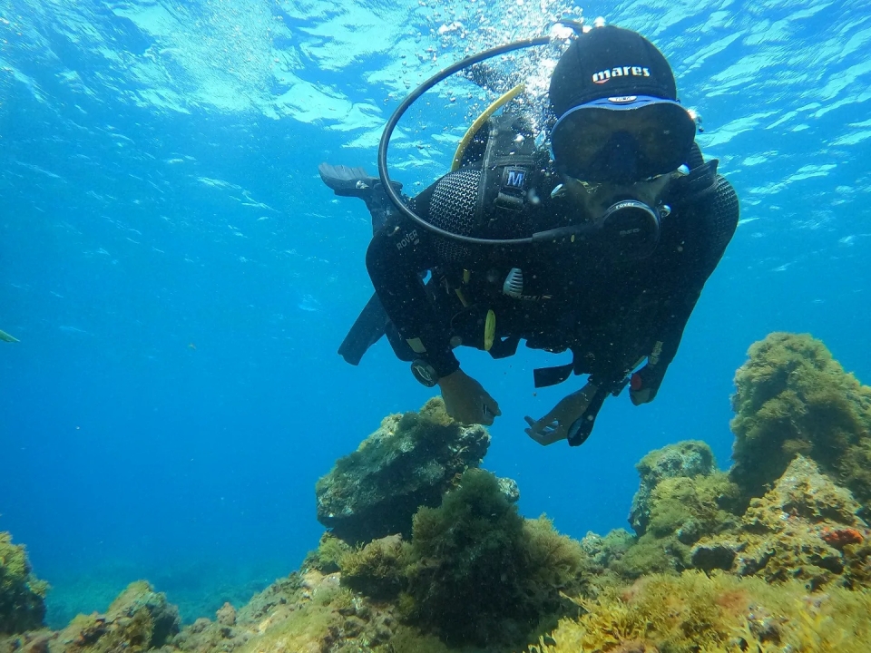 Cursos de buceo en Tenerife