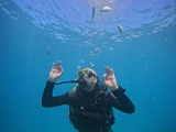 Dos inmersiones de buceo desde barco, Puerto Colón