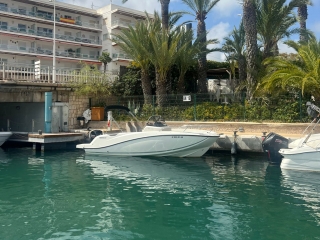 Alquiler de lancha con título Playa del Arenal, 8h