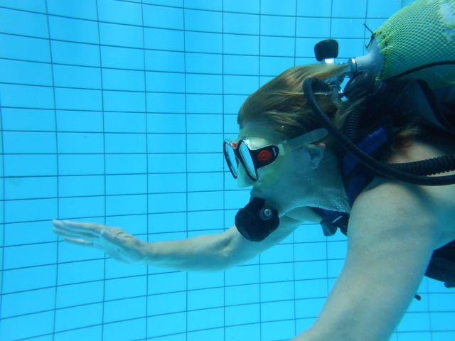  Learn about diving in a pool 