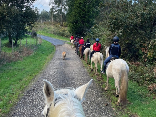  A cavalo pela Corunha 