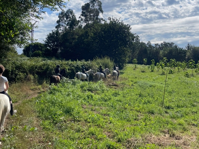  Excursão equestre 