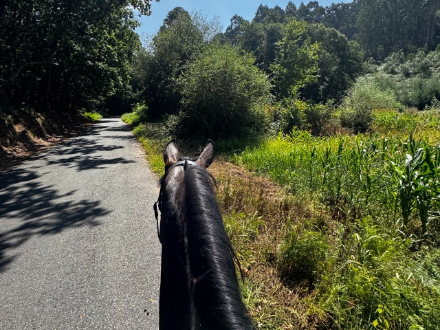  Passeios a cavalo na Galiza