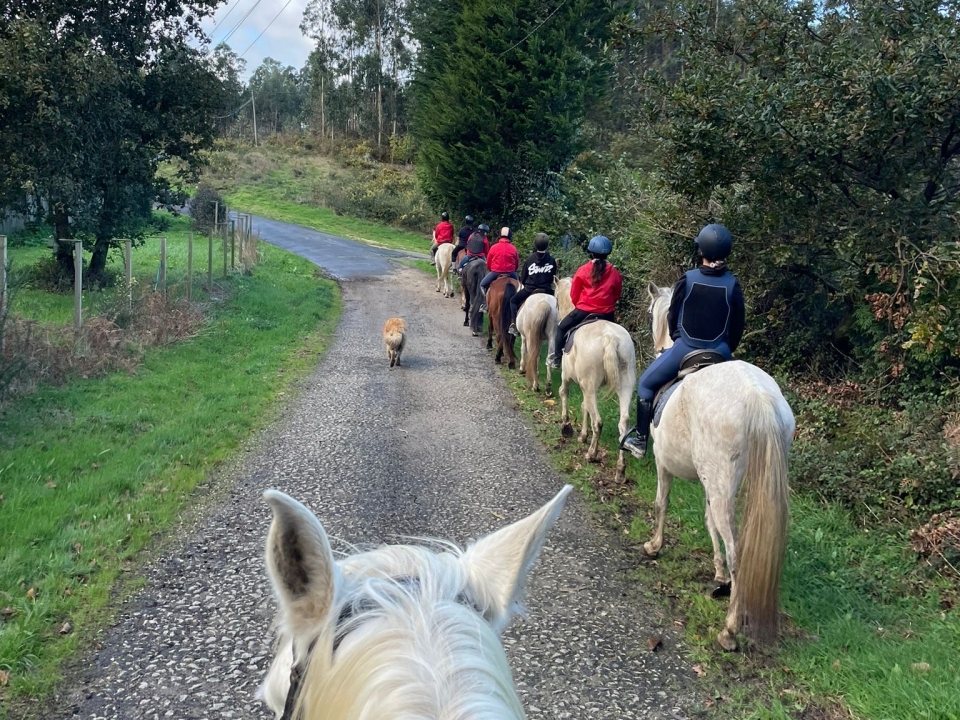 A cavalo pela Corunha 