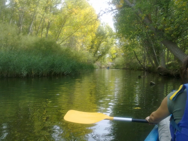 Divers paysages sur le parcours 