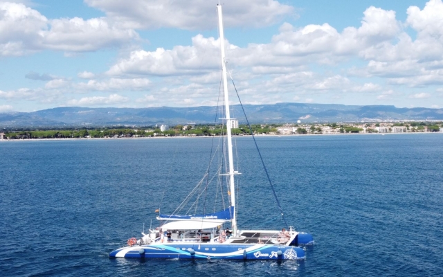  Segeln auf einem Katamaran 