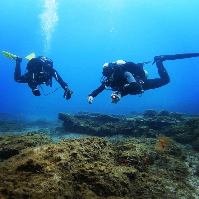 Buceo en la Herradura