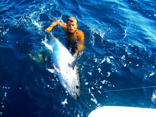  llobarte fishing 
