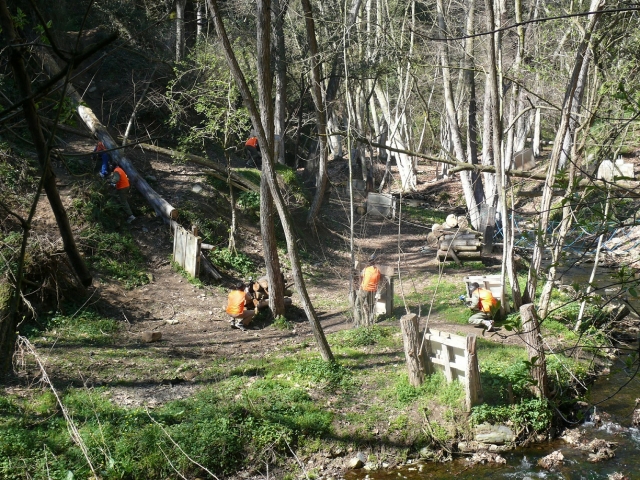  Scénario de paintball en forêt 
