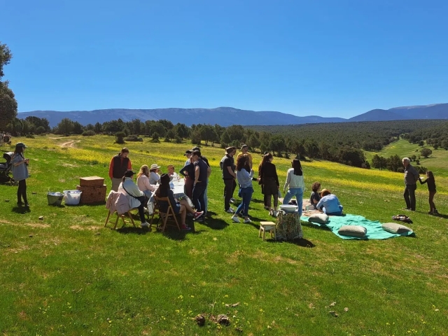 Picnic en la naturaleza