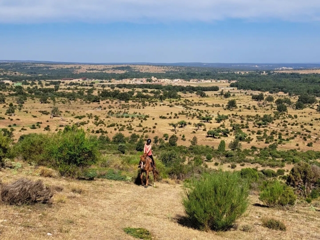 Cabalgamarra y clase