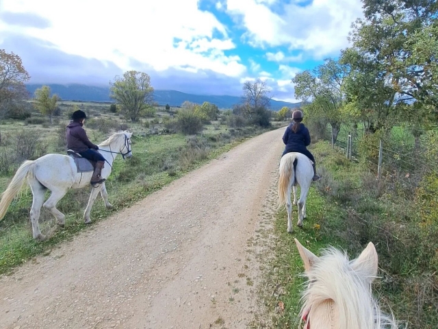 Cabalgamarra