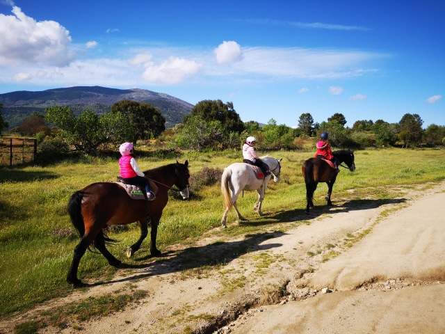 Súbete a un caballo y descubre Gredos