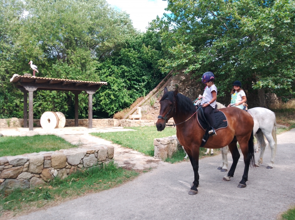 Realiza una cabalgamarra maravillosa