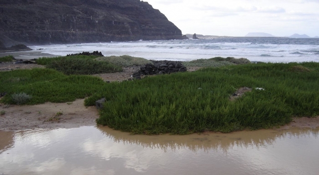 Descubre Lanzarote haciendo senderismo