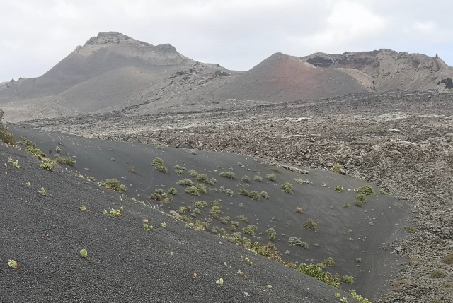  Spaziergang durch die Vulkane von Lanzarote 