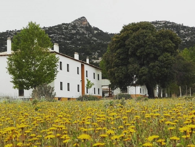  Le aree verdi dell'alloggio 