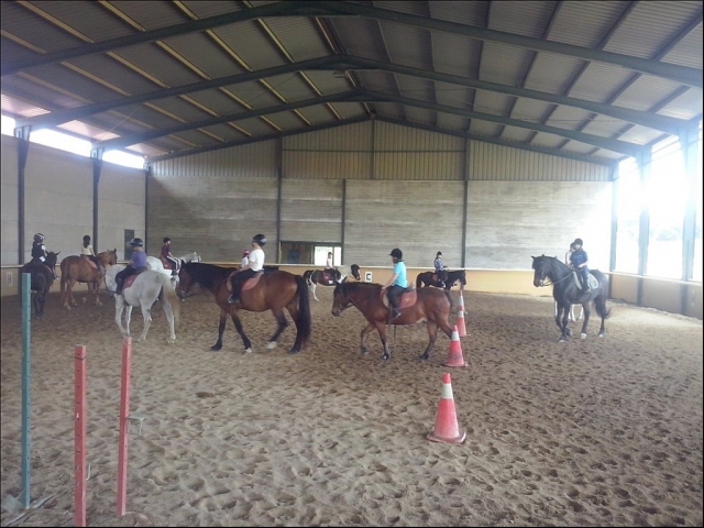  Lezione di equitazione 
