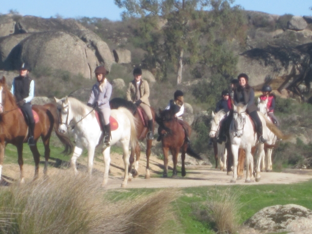  Campo equestre a Cáceres 
