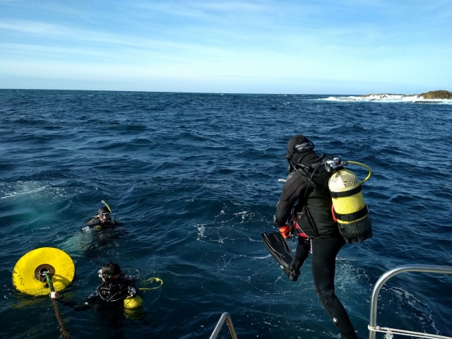 Plongées depuis un bateau