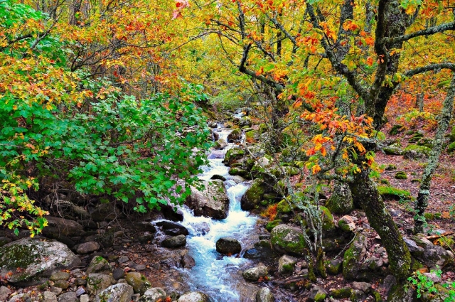 Environnement naturel dans la gorge de l'enfer 
