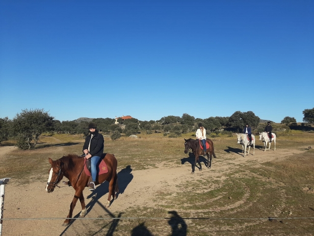 Relacionamento da classe Bono 4 + 1 classe gratuita, Cácerres
