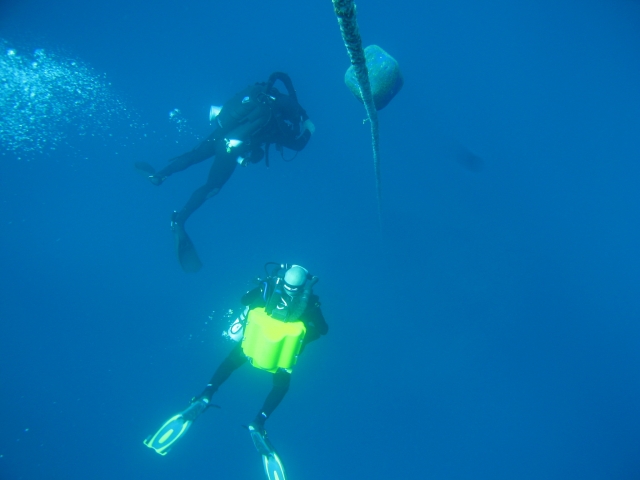  Deep diving in Ibiza
