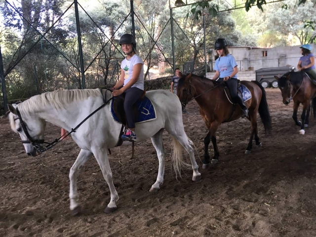  Reiten durch die Landschaft