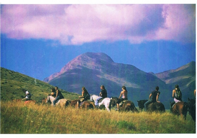 Subiendo a caballo en lerida