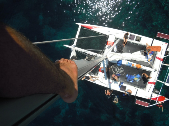  Catamaran de excursão