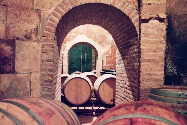  Les barriques du vignoble 