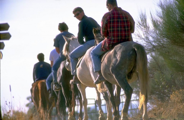 Reitrouten 