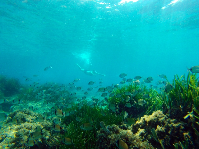 Fondos cristalinos en la Costa de Almería
