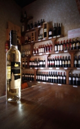 Visit to wineries in Nava del Rey with tasting and menu