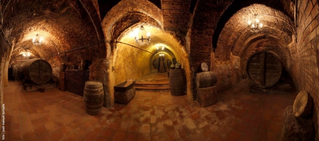  Bodegas Urdil 