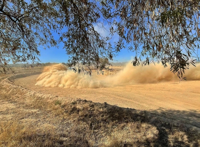  Drive a BMW on a rally circuit 