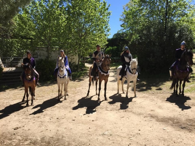 Amigos sobre los caballos en el campo