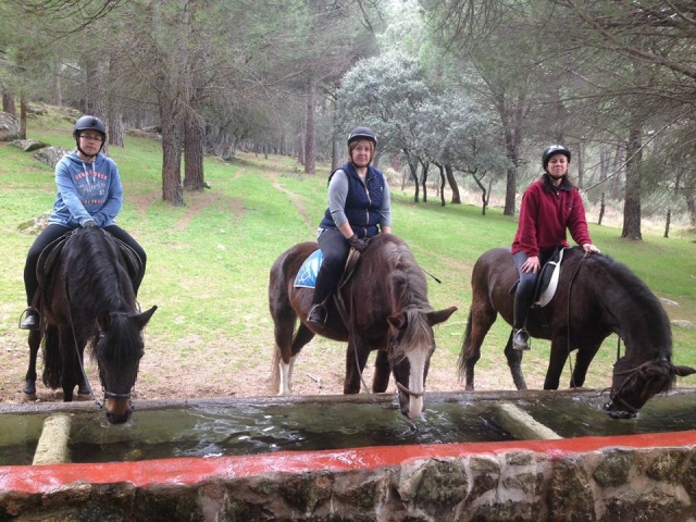 Parada para que los caballos beban