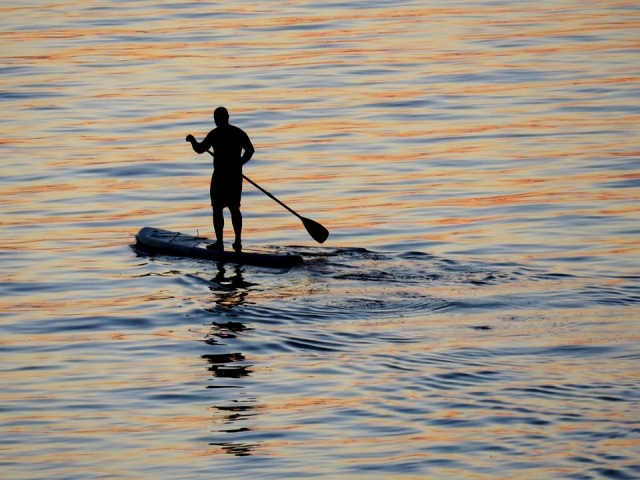  Paddle surf