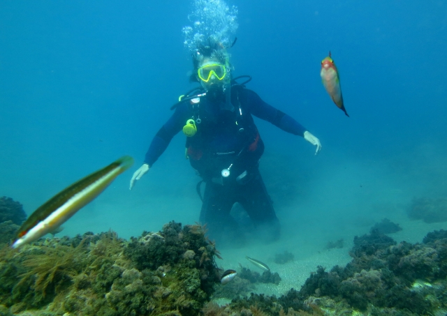  Diving for couples in Malaga