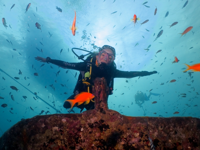  Diving among the fish 